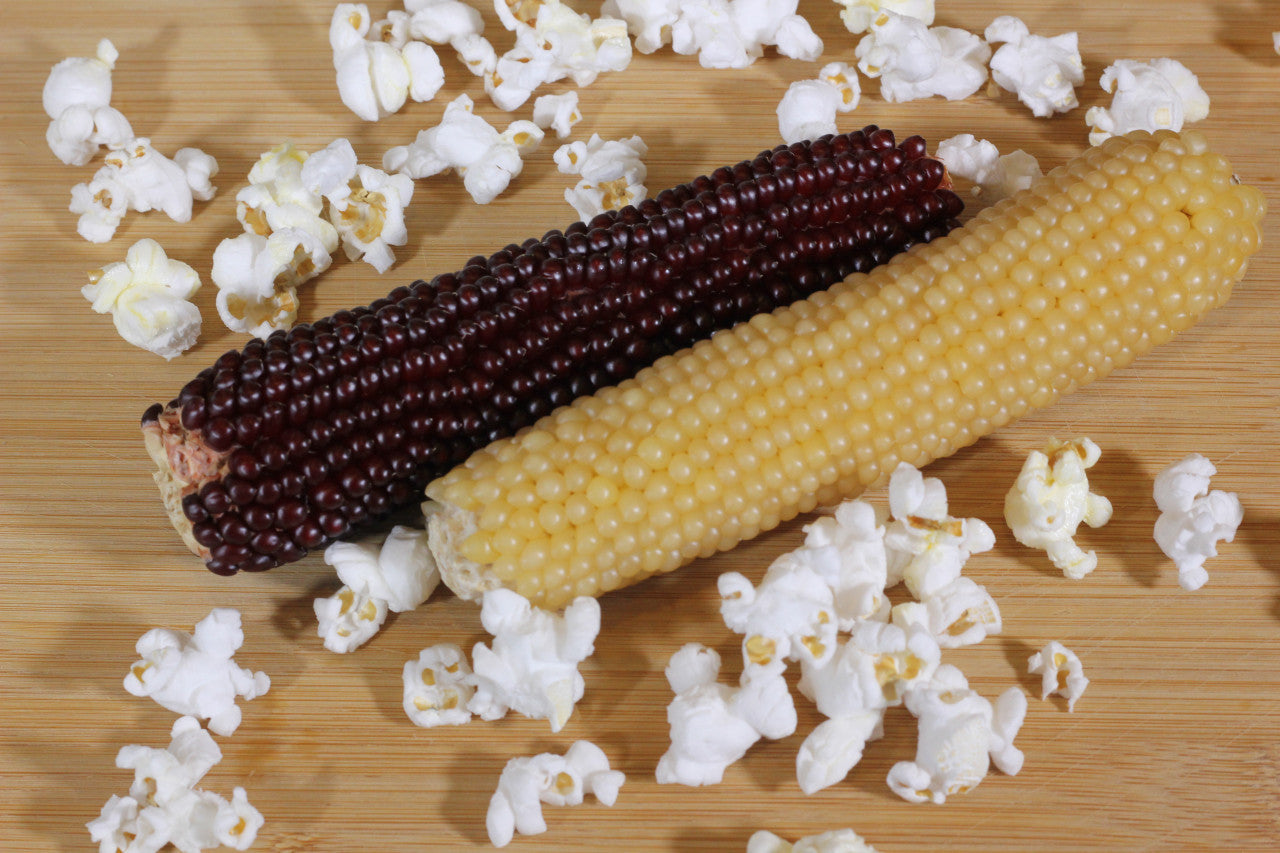Microwave Popcorn on the Cob- Twin Pack