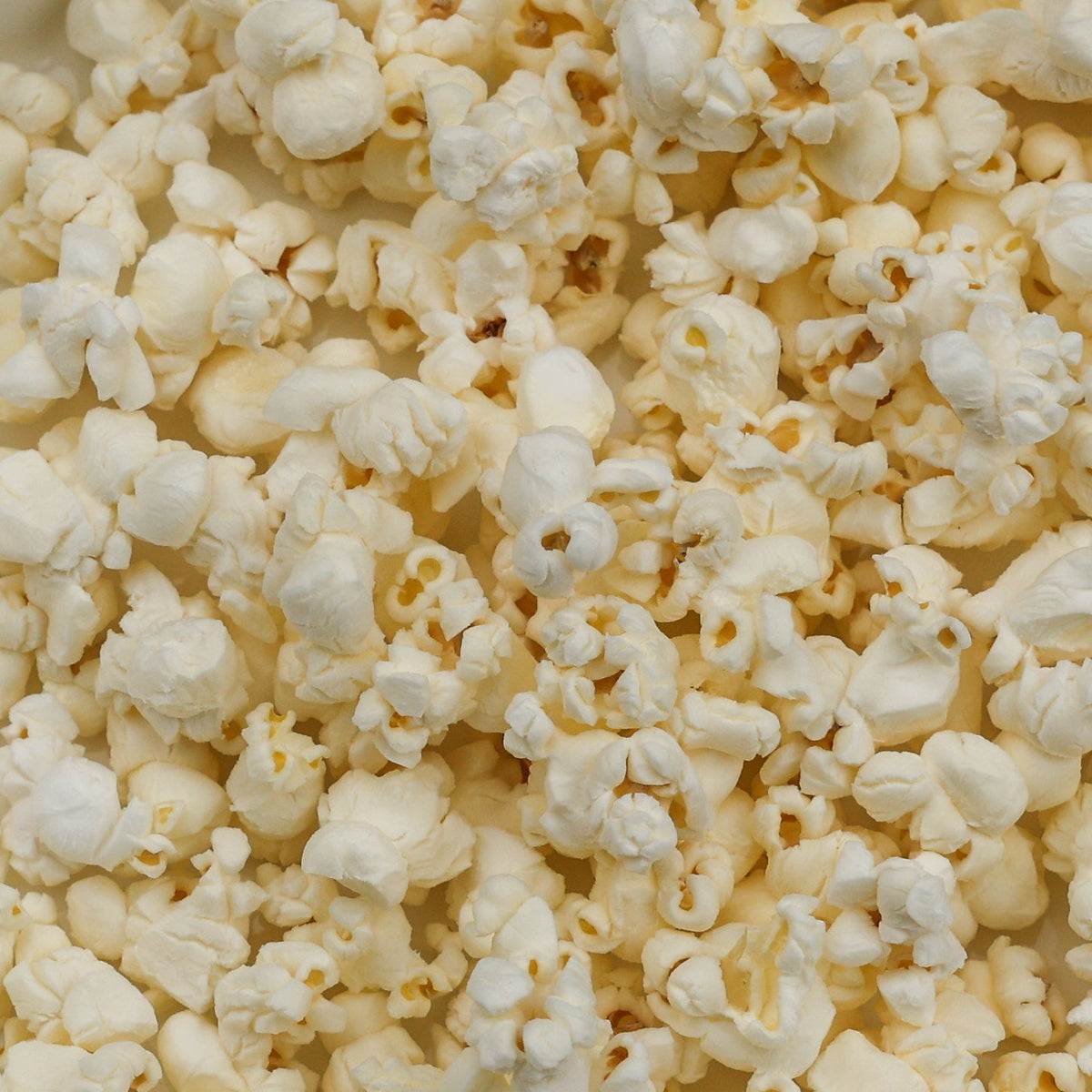 Popcornss Hulless Popcorn
