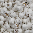 Blue Popcorn