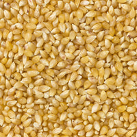 Hulless Popcorn