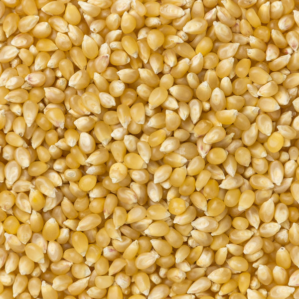 mediumwhitehullesspopcorn_7bc6